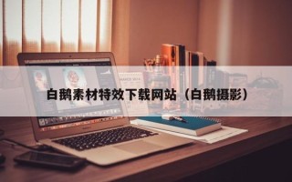 南安白鹅素材特效下载网站（白鹅摄影）